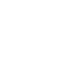 maximum performance logo