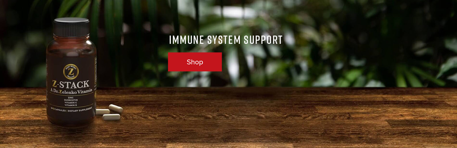 Immune System Support Shop Now