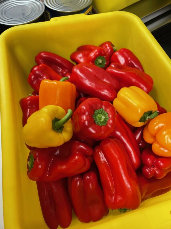 nutrition and diet rockford, illinois, Meal prep